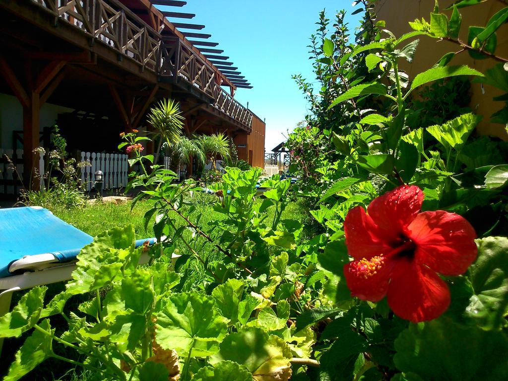 Hostal Playa Mazagon Ngoại thất bức ảnh